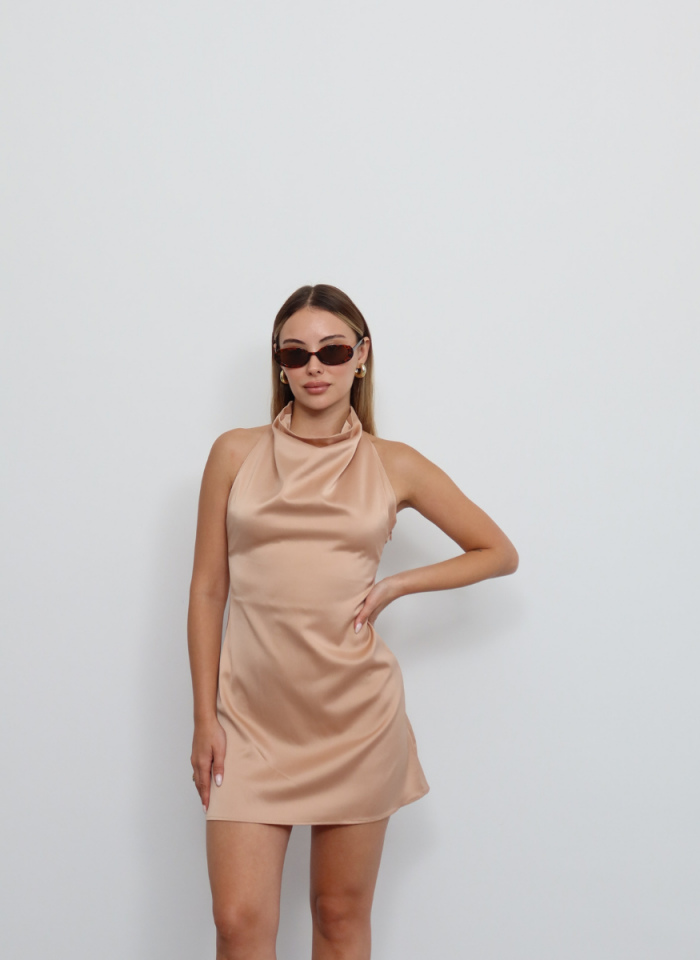 PUDRA DEGAJE YAKA ELBİSE